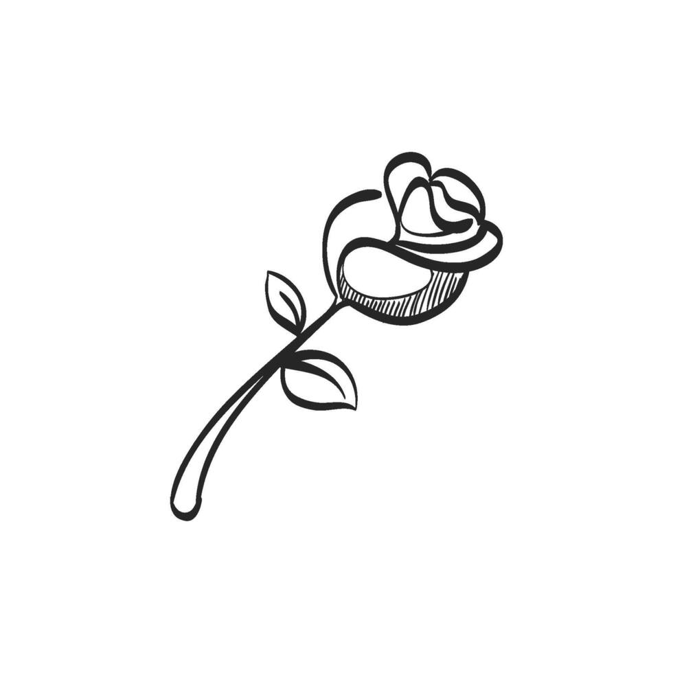 Hand drawn sketch icon rose flower vector