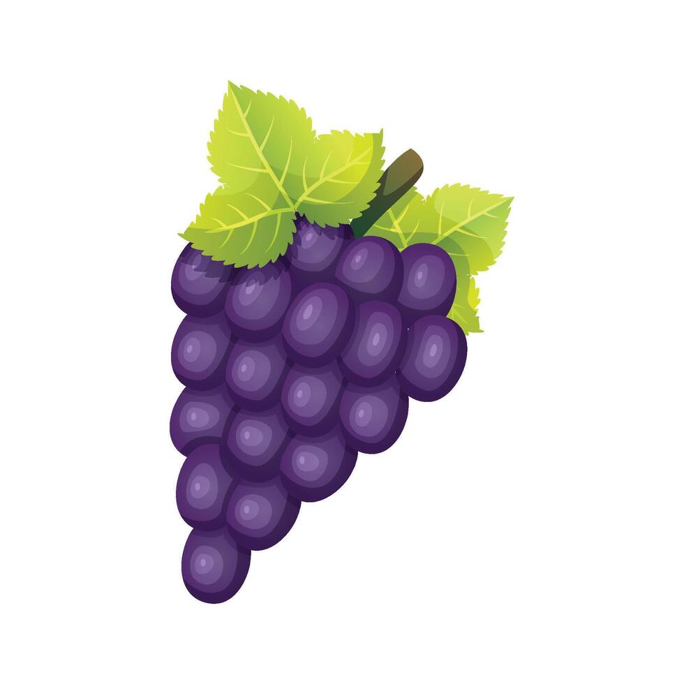 Grapes fruit icon design. Fresh fruit vector