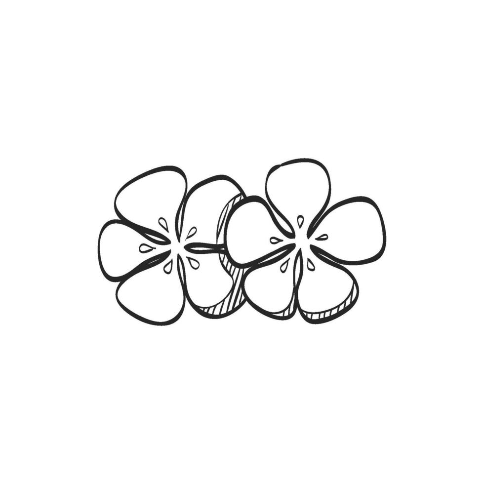 Hand drawn sketch icon jasmine flowers vector