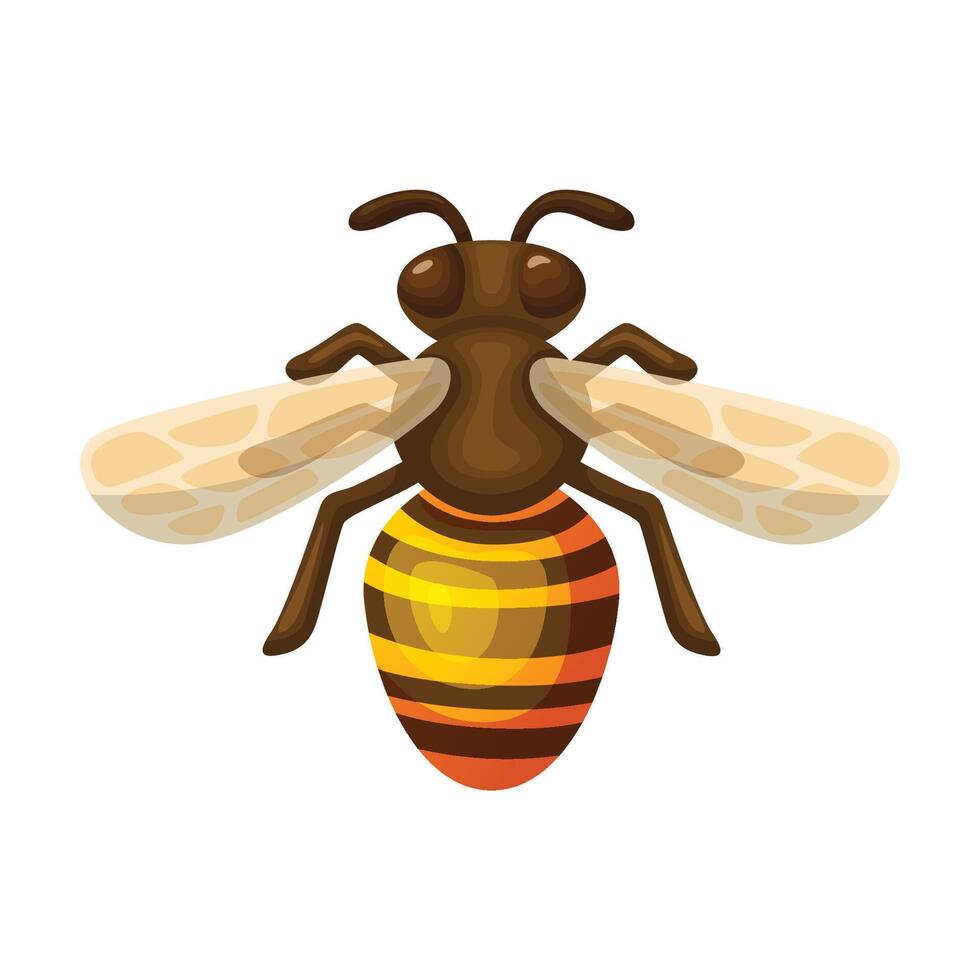 Illustration of bee. Bee icon design vector