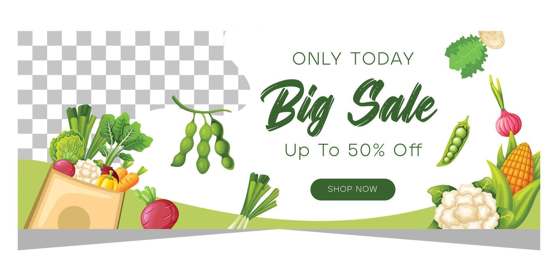 Horizontal sale banner template for vegetarian or organic product vector