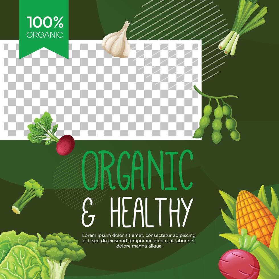 Healthy vegetarian food social media post template design vector