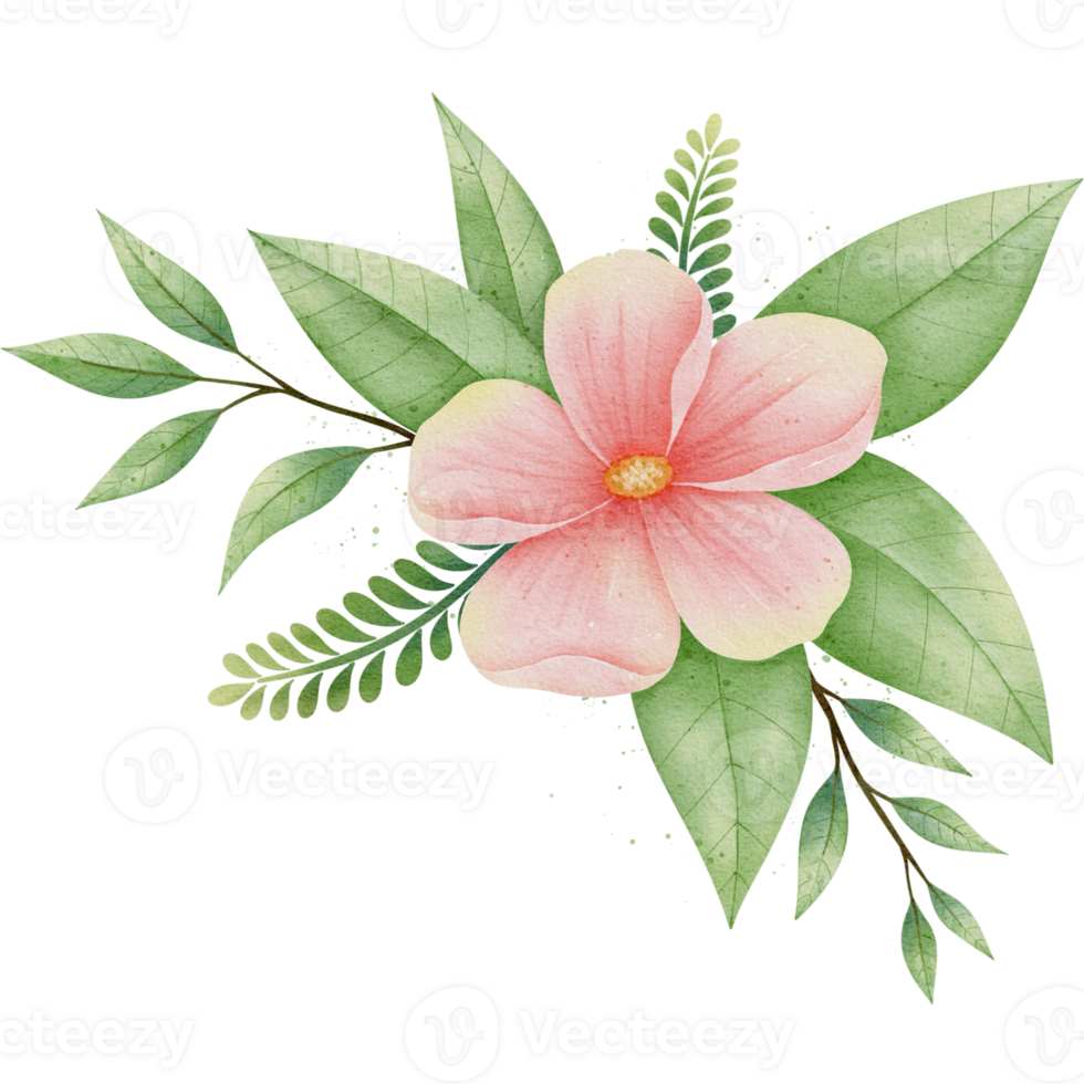 watercolor flower clipart png