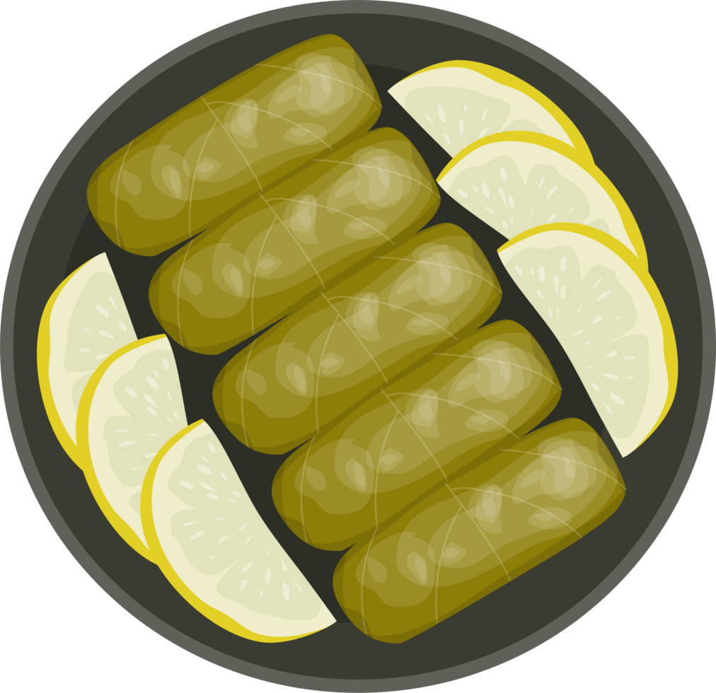 Dolma turkish food Illustration png