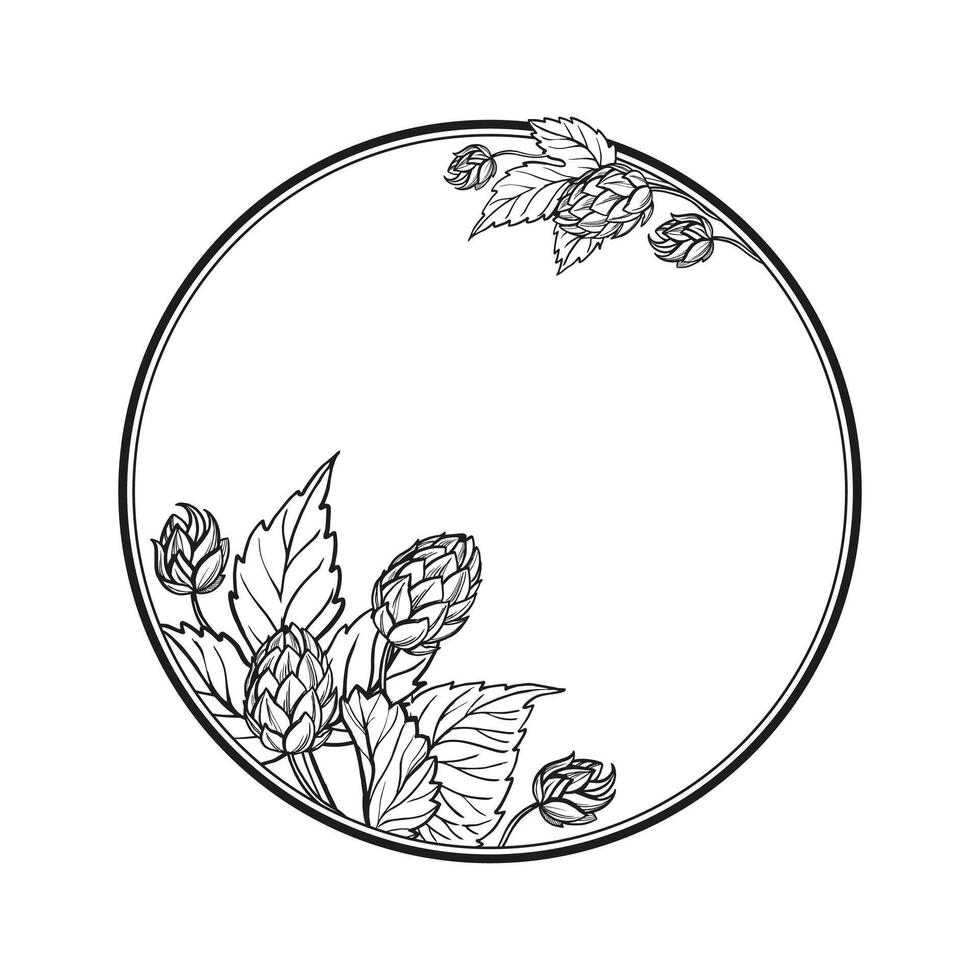 Hand drawn vector circle frame with hop plant, leaves and buds, craft beer ingredients, black and white illustration of branch humulus lupulus, inked illustration isolated on white background