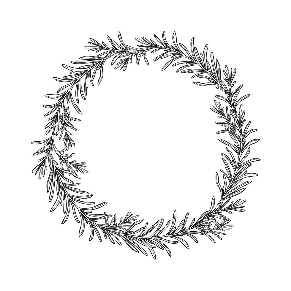 monocromo guirnalda con mano dibujado vector ilustración de Romero desalmuerzo, negro y blanco entintado bosquejo de hierba, especia planta aislado en blanco antecedentes