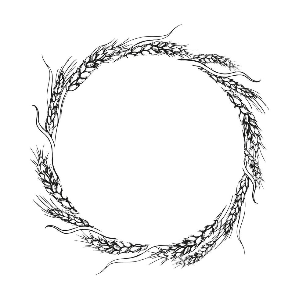 vector wreath of ears of wheat, hand drawn illustration with branches of wheat, agriculture theme, black and white sketch of harvest theme isolated on white background