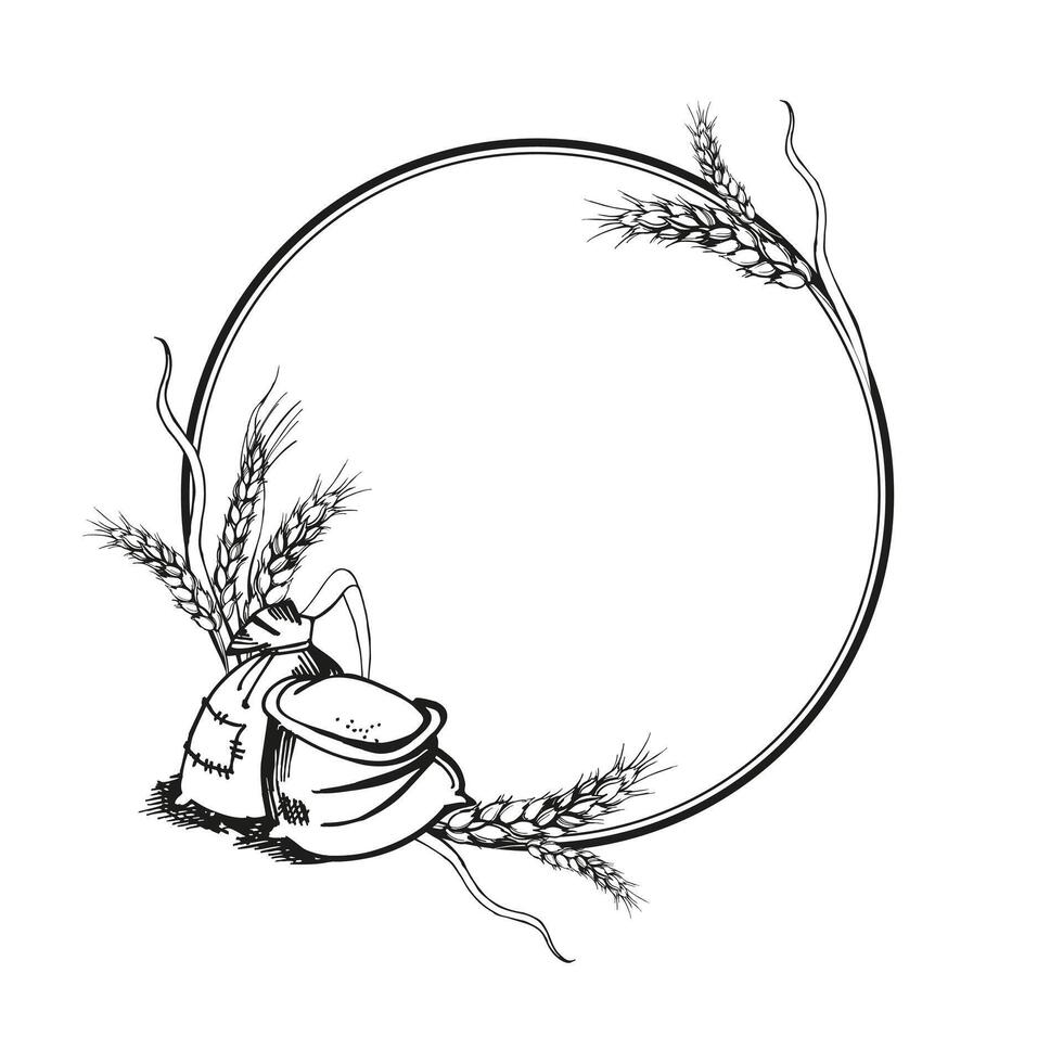 vector circle frame with ears of wheat, hand drawn illustration of branches of wheat, agriculture theme, black and white sketch of harvest theme isolated on white background