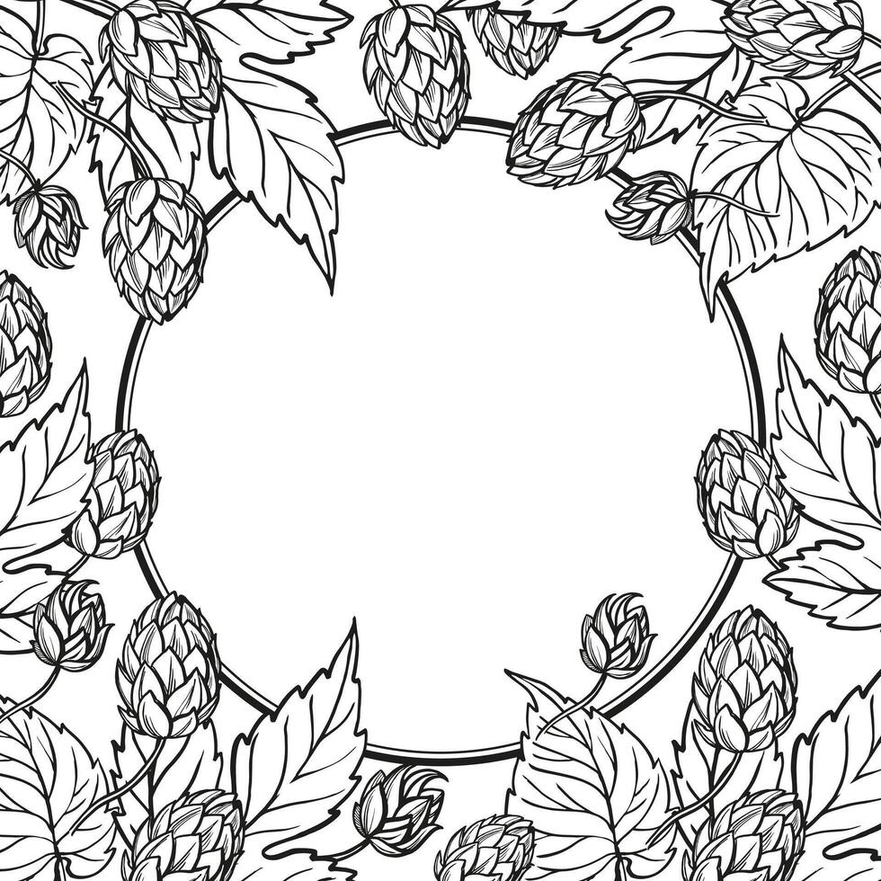 Hand drawn vector circle frame with hop plant, leaves and buds, craft beer ingredients, black and white illustration of branch humulus lupulus, inked illustration isolated on white background