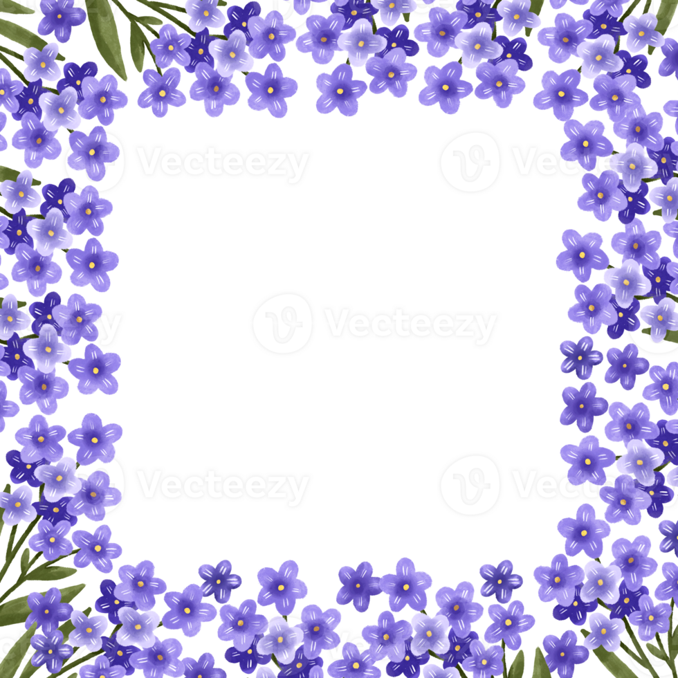Square border frame with purple forget-me-not flowers. Spring botanical design with branches of purple blooming flowers. Cute background for cards and invitations png