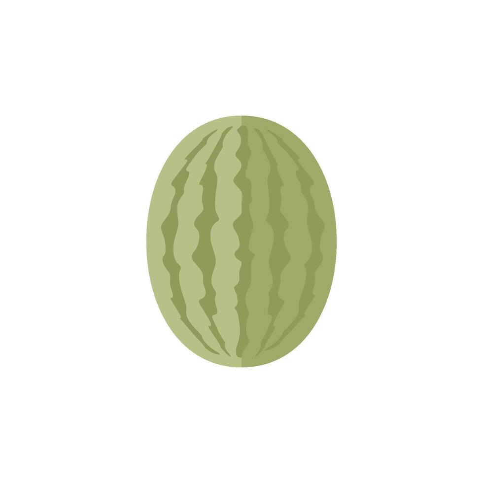Water melon icon in flat color style. Fruit sweet tropical dessert snack thirsty vector