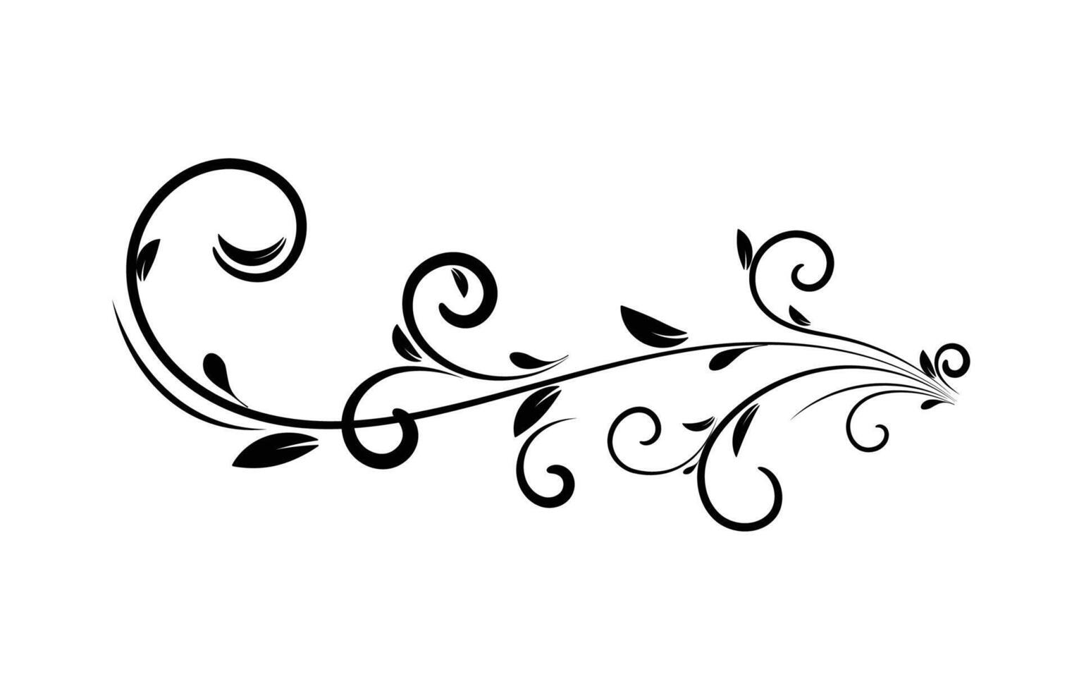 Floral flourish vector ornament design.