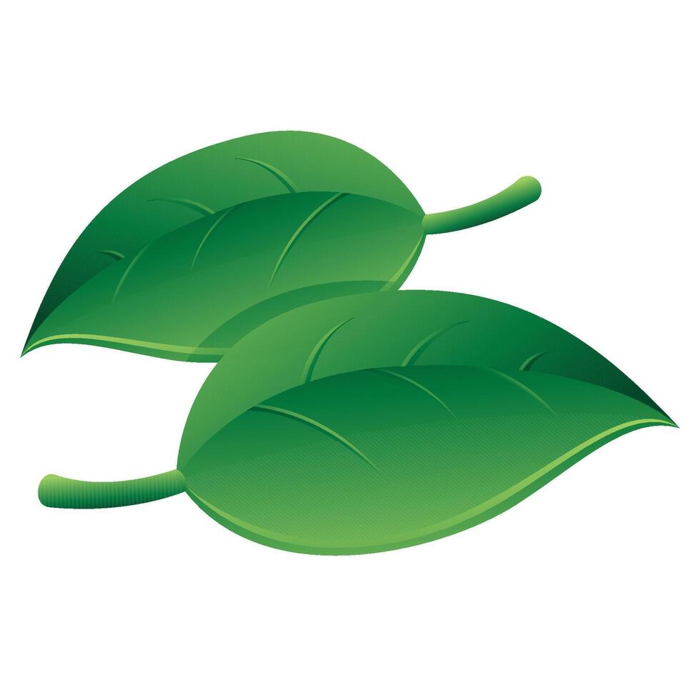 Leaves icon in color. Green environment vector