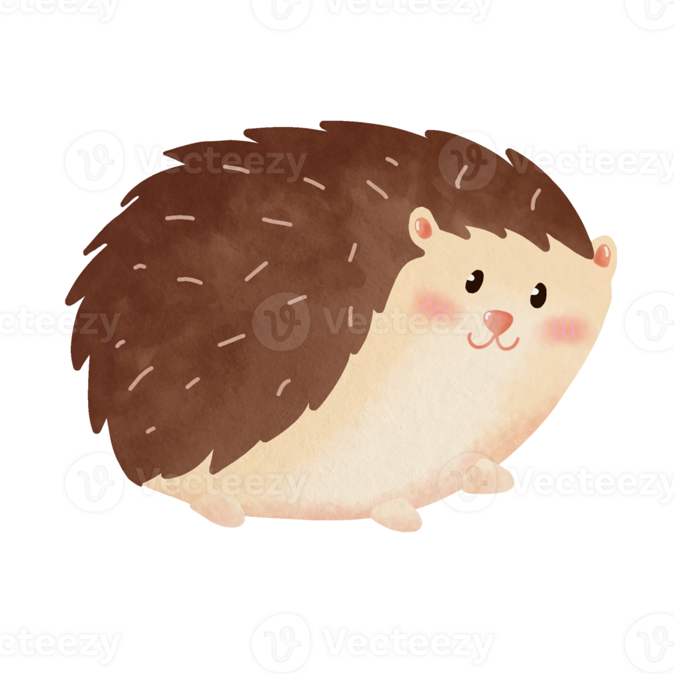 Hand Drawn Watercolor Hedgehog Illustration Element Sticker png