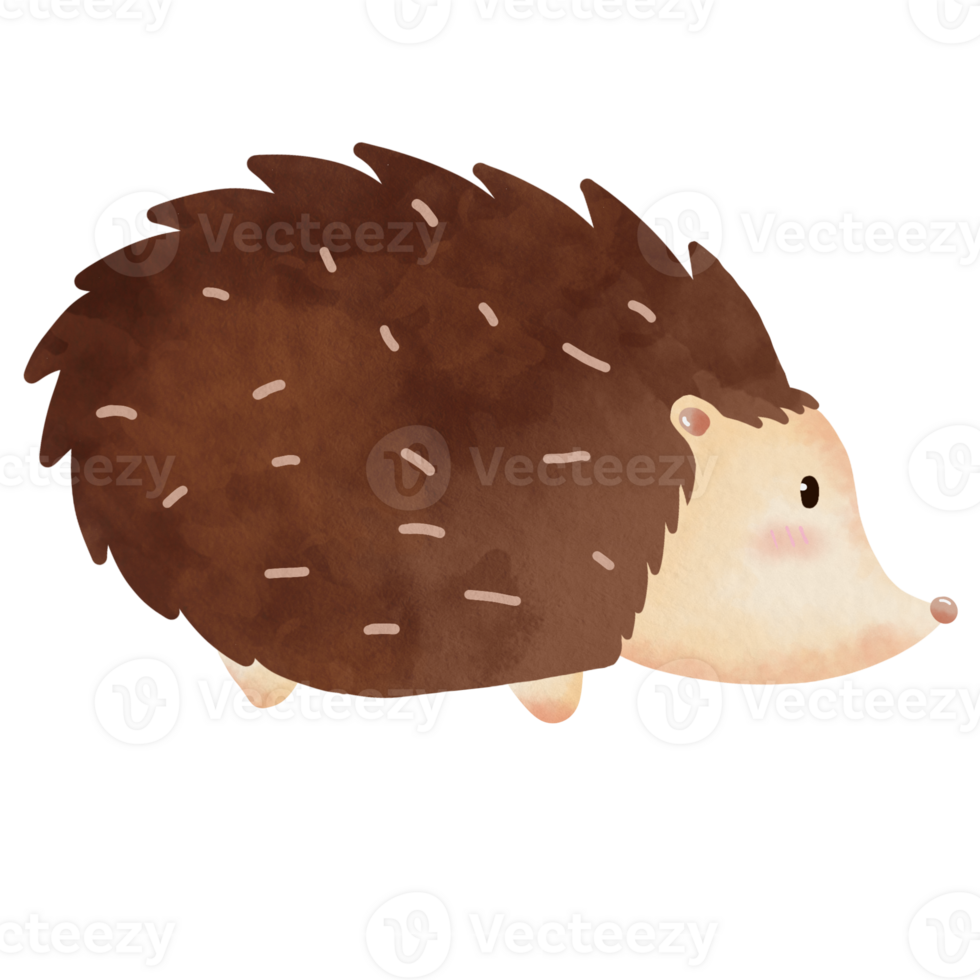 Hand Drawn Watercolor Hedgehog Illustration Element Sticker png
