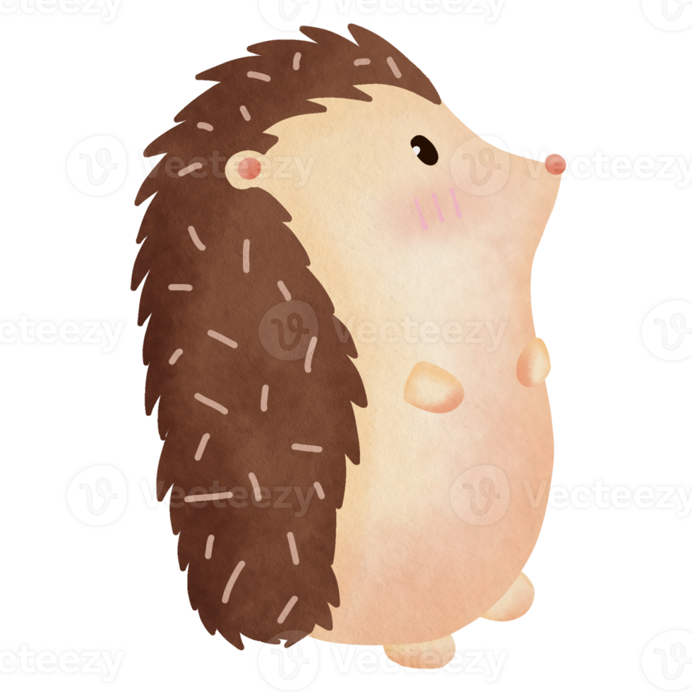 Hand Drawn Watercolor Hedgehog Illustration Element Sticker png