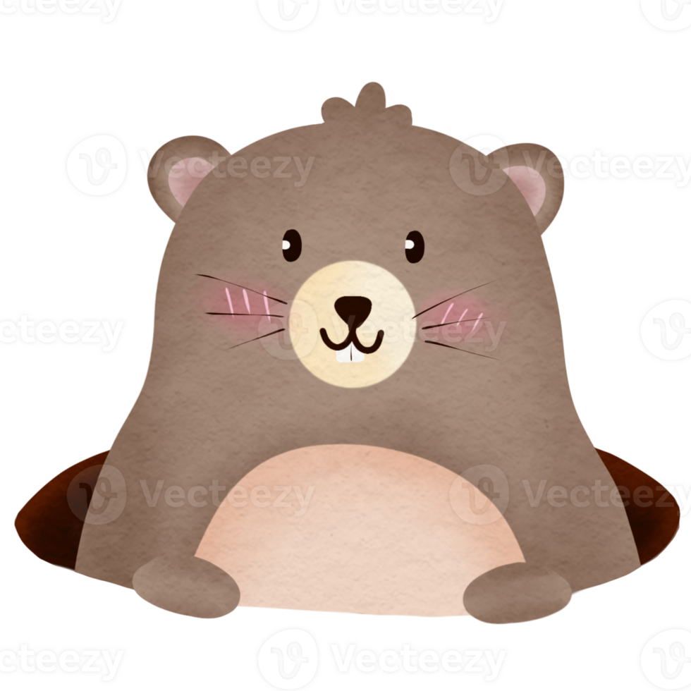 Hand drawn watercolor groundhog illustration sticker element png