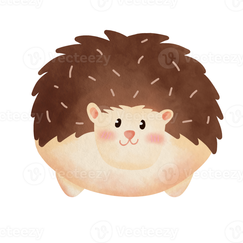 Hand Drawn Watercolor Hedgehog Illustration Element Sticker png