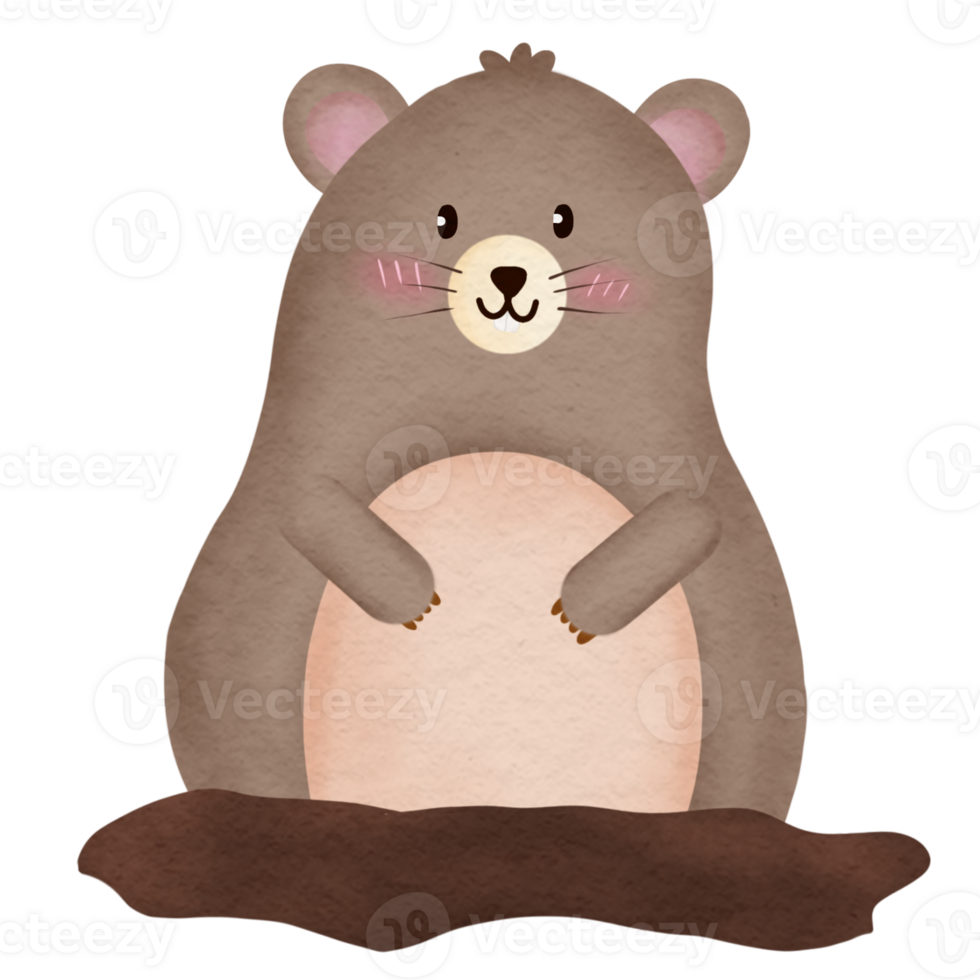 Hand drawn watercolor groundhog illustration sticker element png