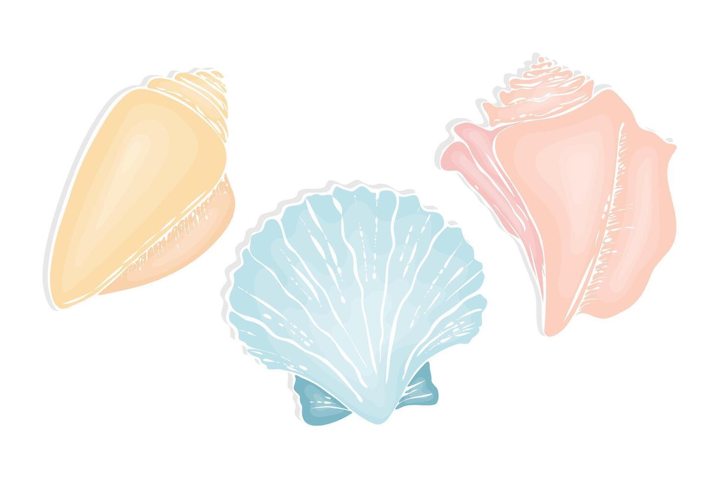 Shell set, hand drawn seashells, marine ocean life, on isolated white background. vector
