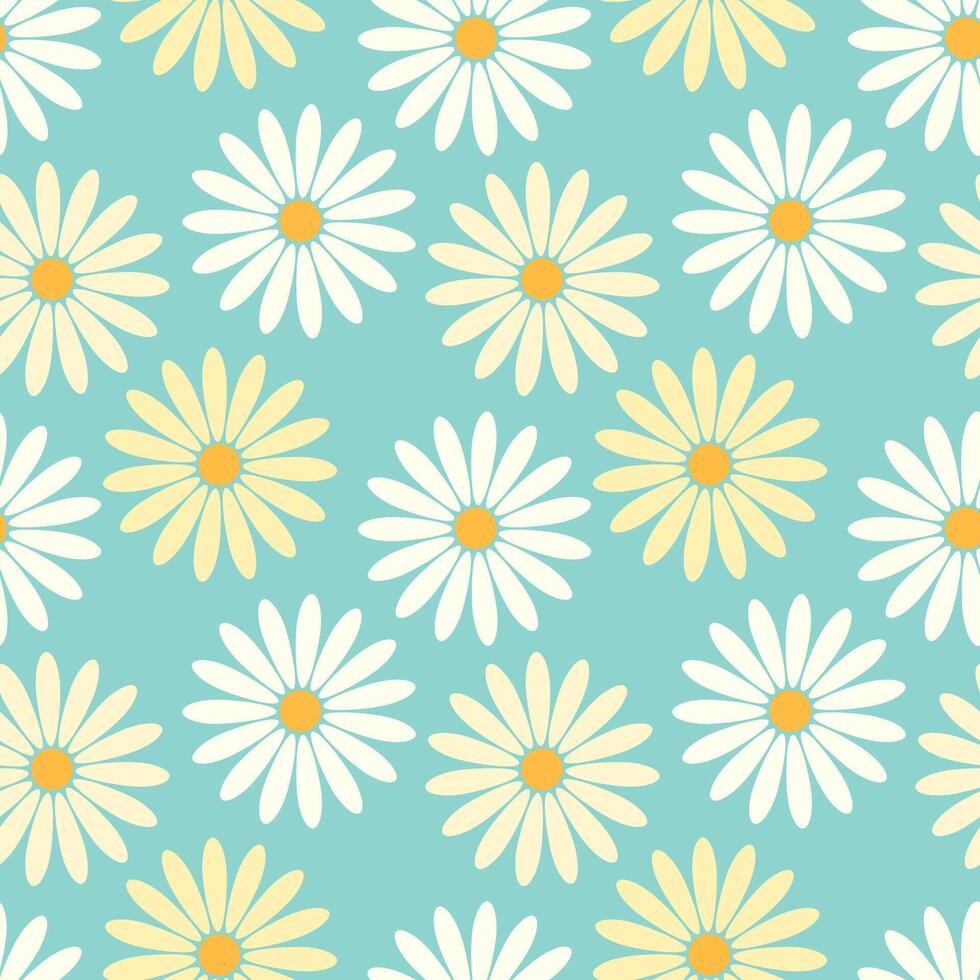 Seamless pattern of yellow and white daisies chamomile on turquoise background. vector