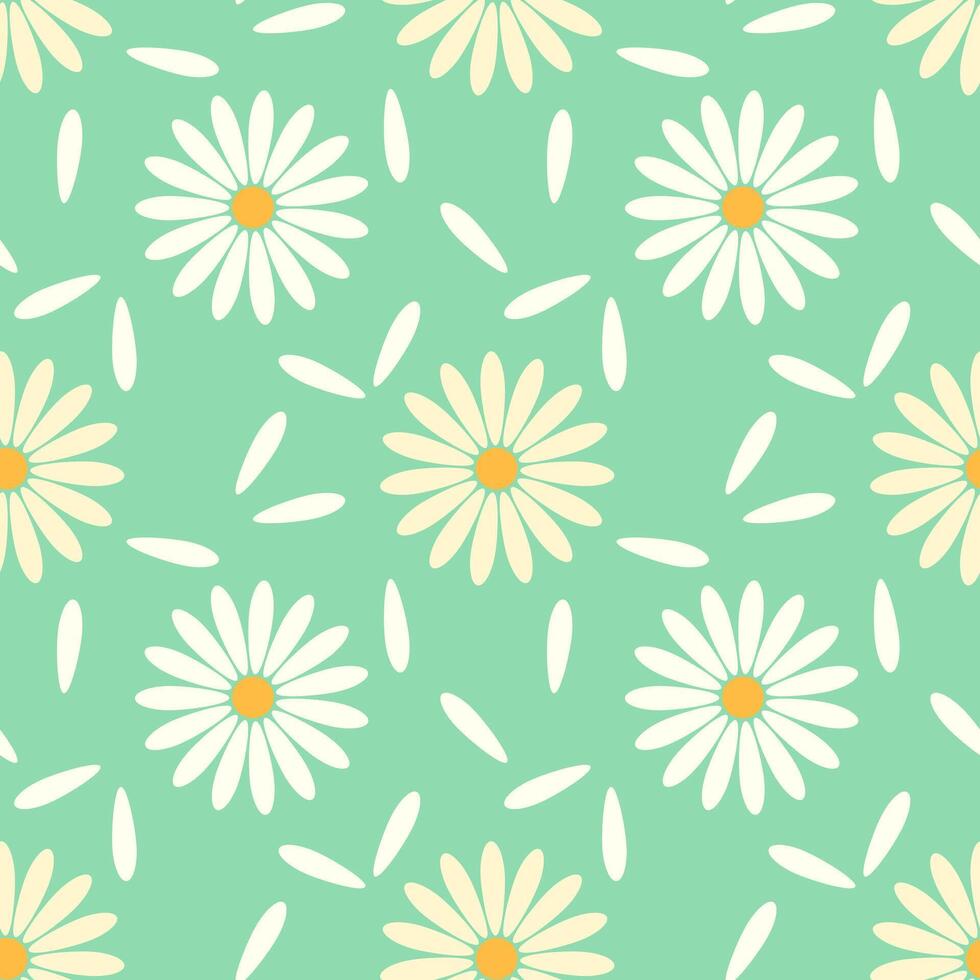 Seamless pattern of white daisies chamomile and white petals on turquoise background. vector