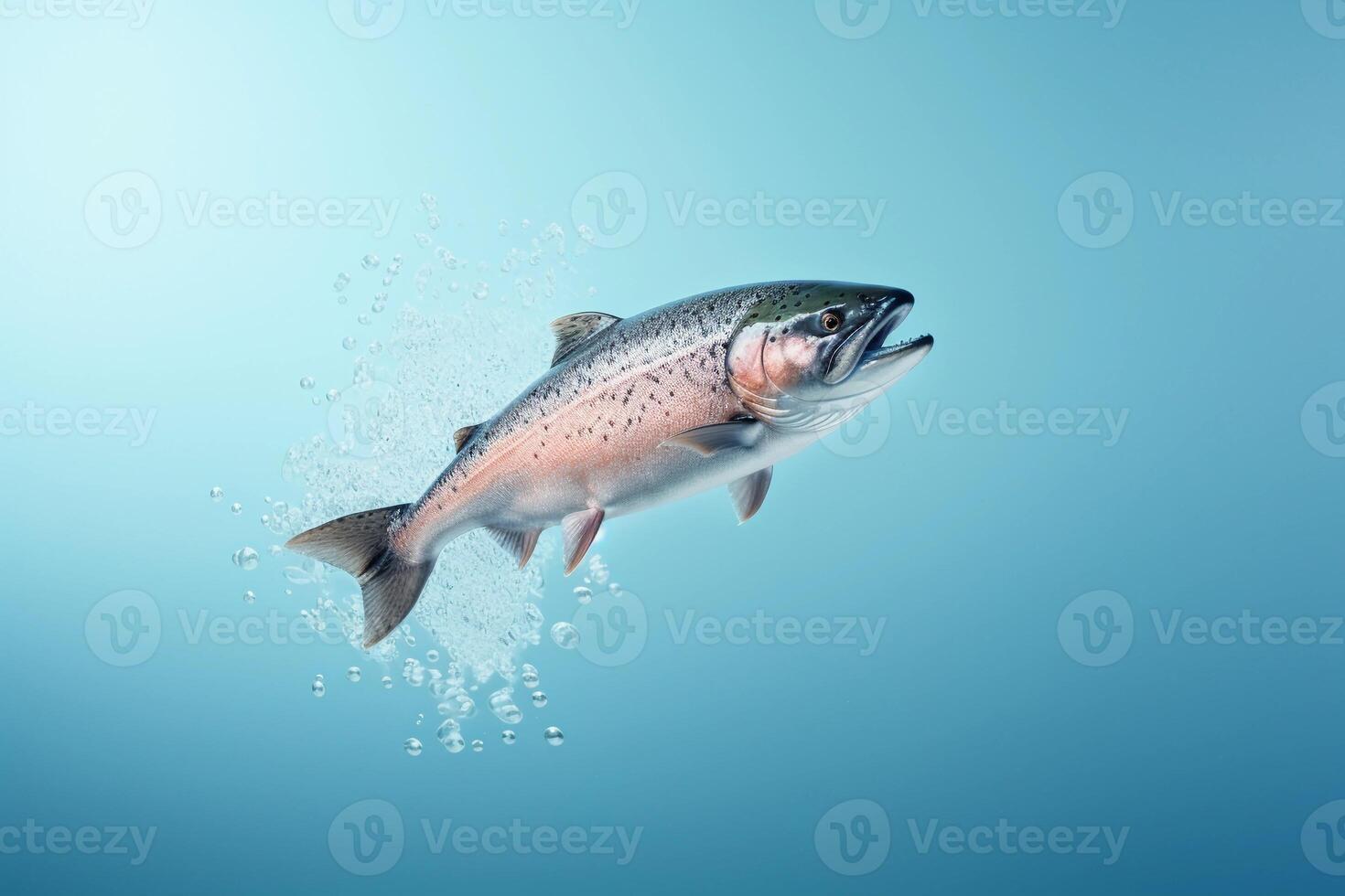 AI generated Salmon fish and water splashes isolated on blue background. AI generated. photo