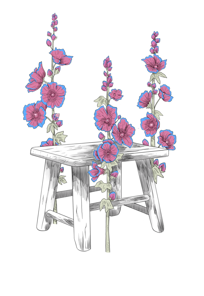 bloem en hout stoel botanisch schetsen illustratie png