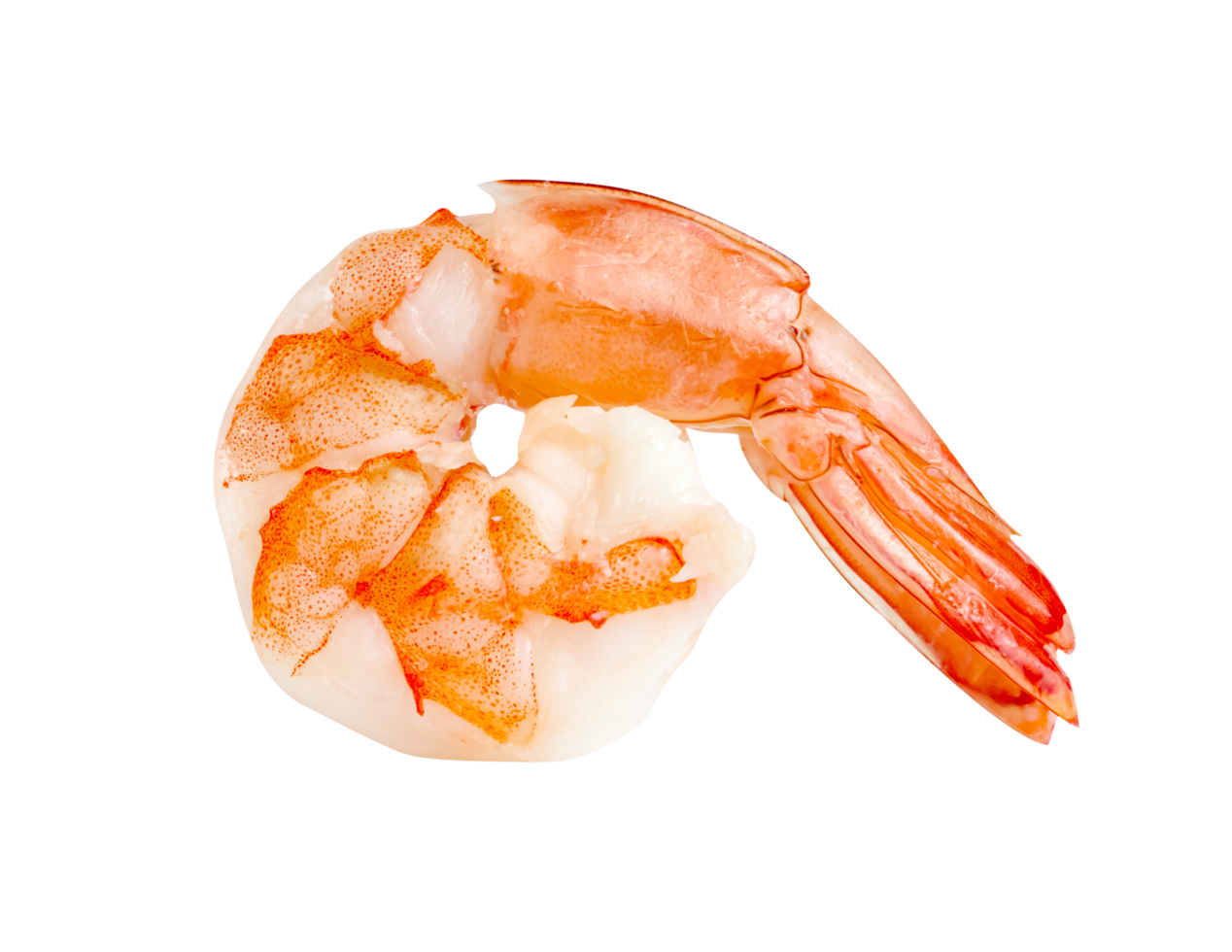 cooked shrimp isolated png