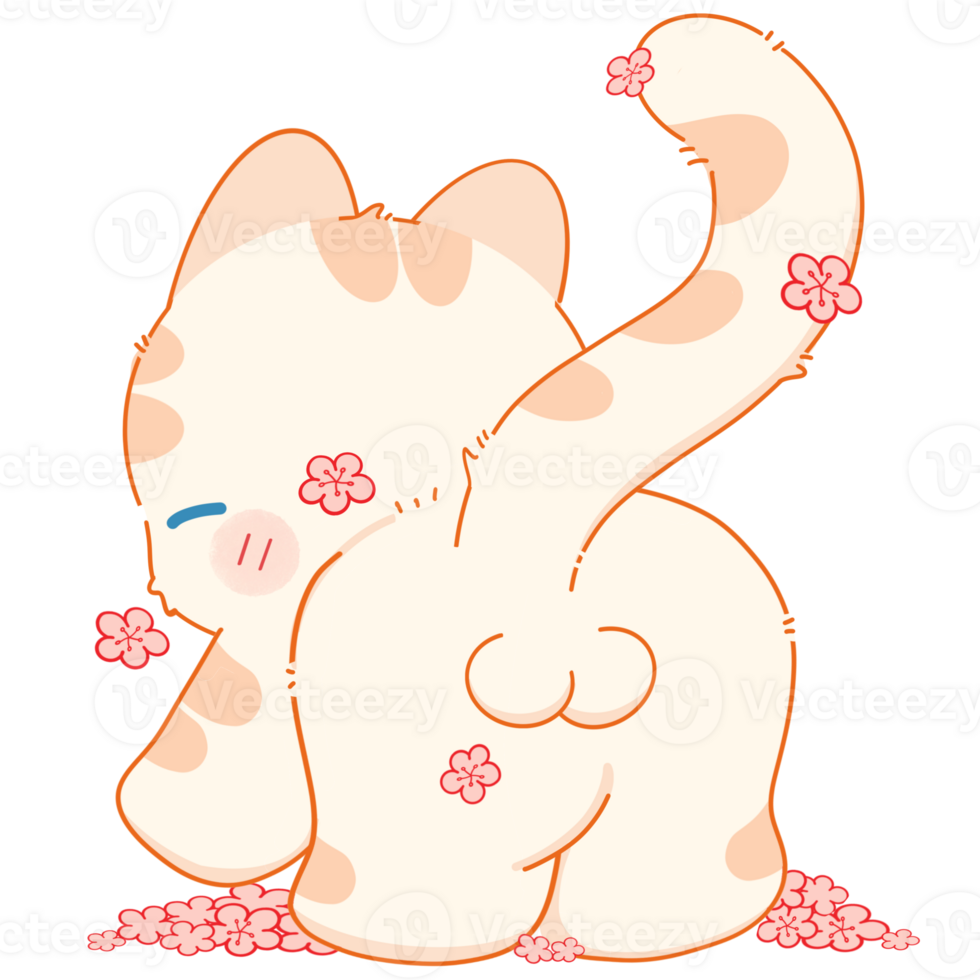 Cat with summer png