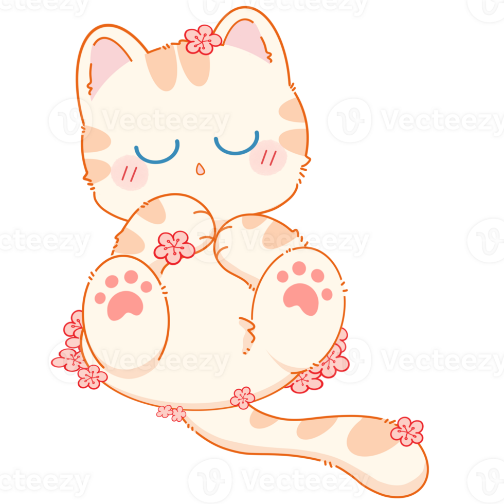Cat with summer png