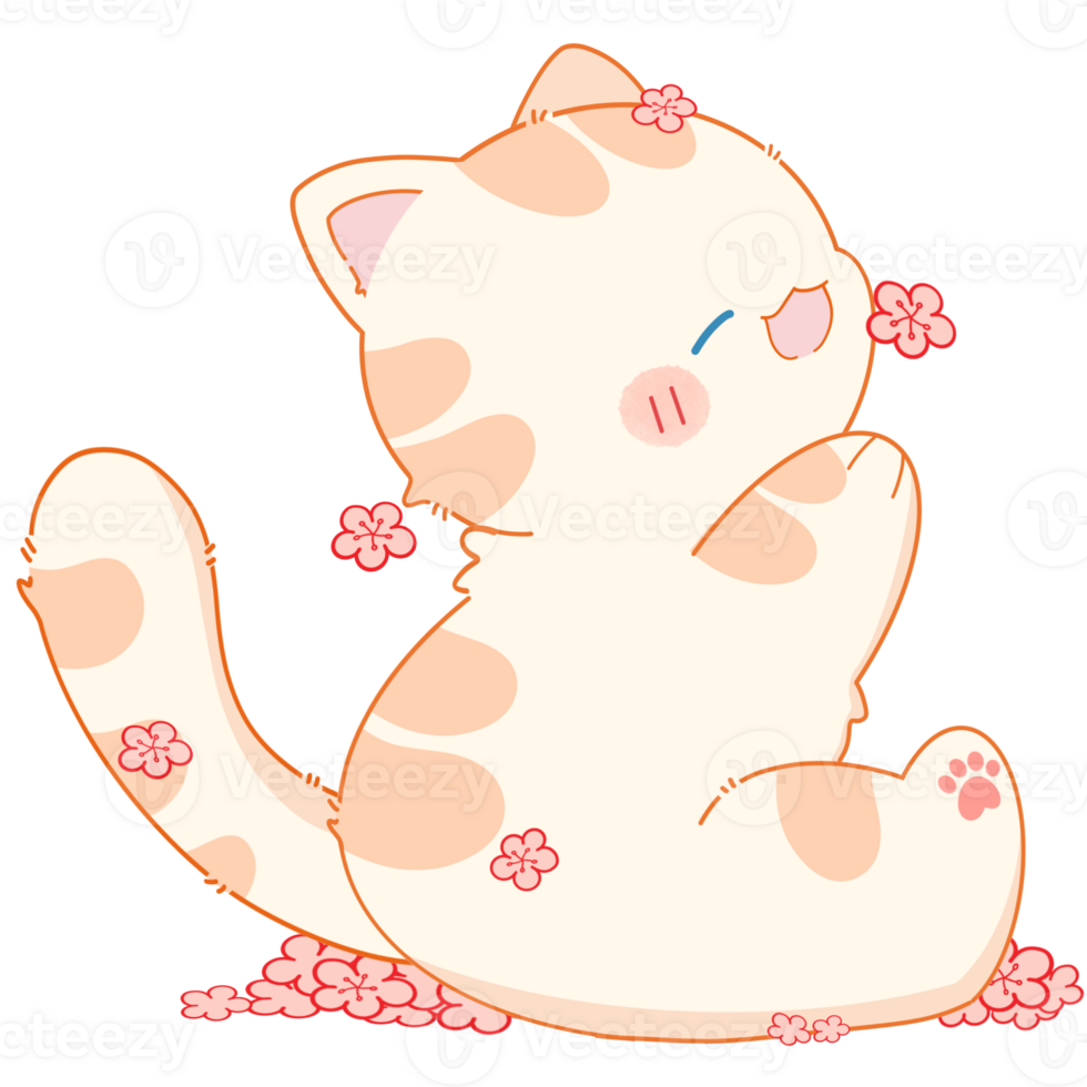 Cat with summer png