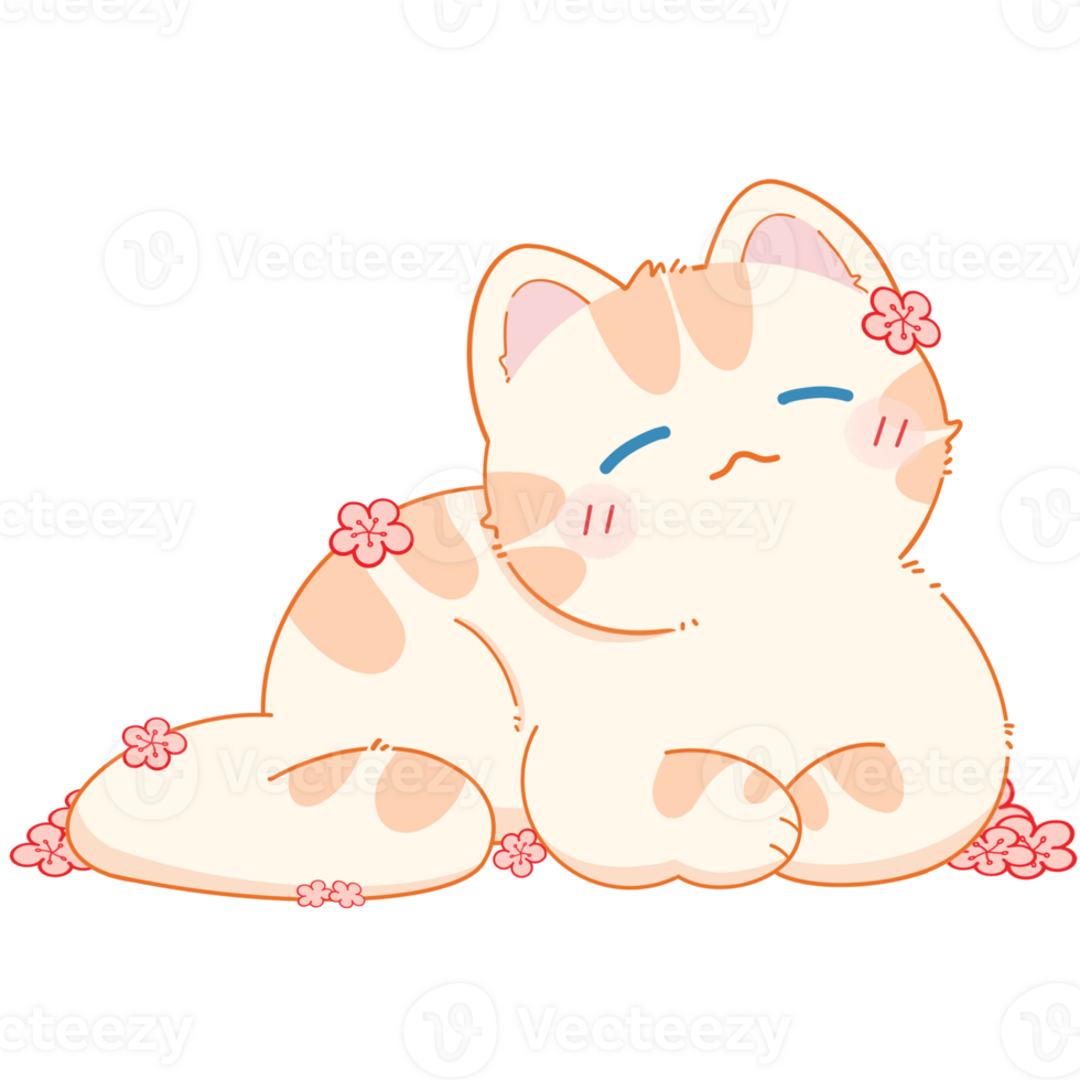 Cat with summer png