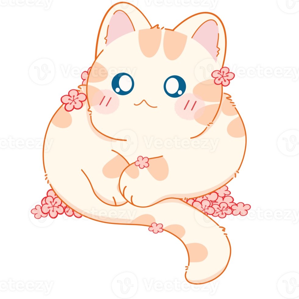 Cat with summer png