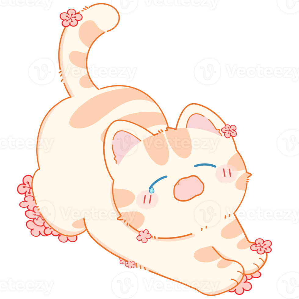 Cat with summer png
