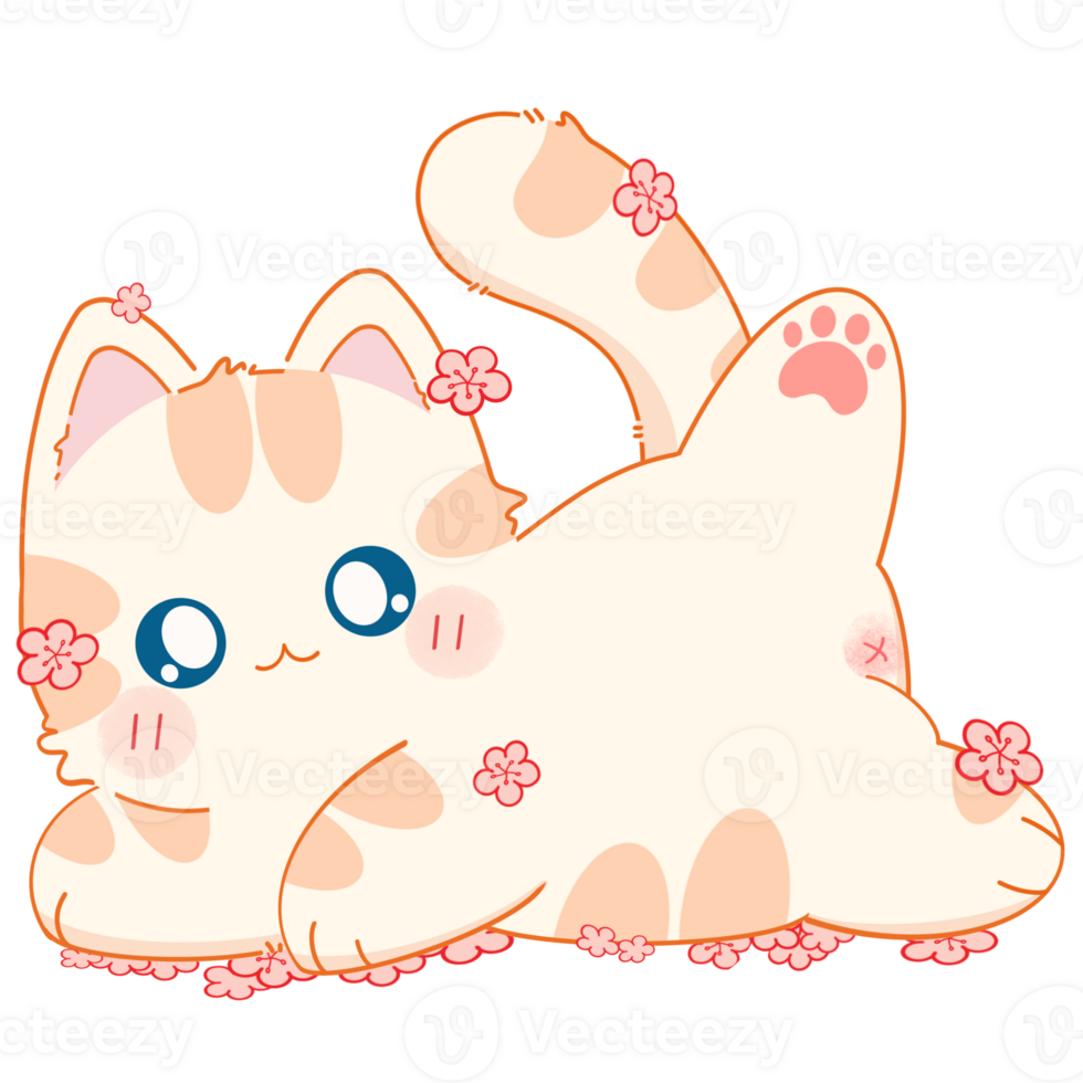Cat with summer png