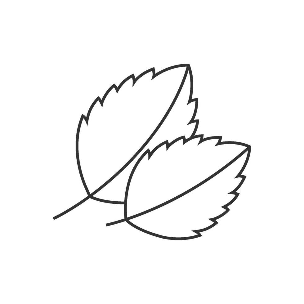 Basil leaves icon in thin outline style vector