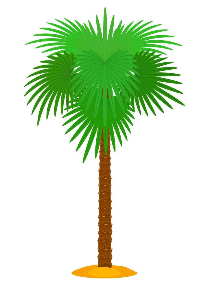 beach and sea summer leisure objects stock vector illustration isolated on white background