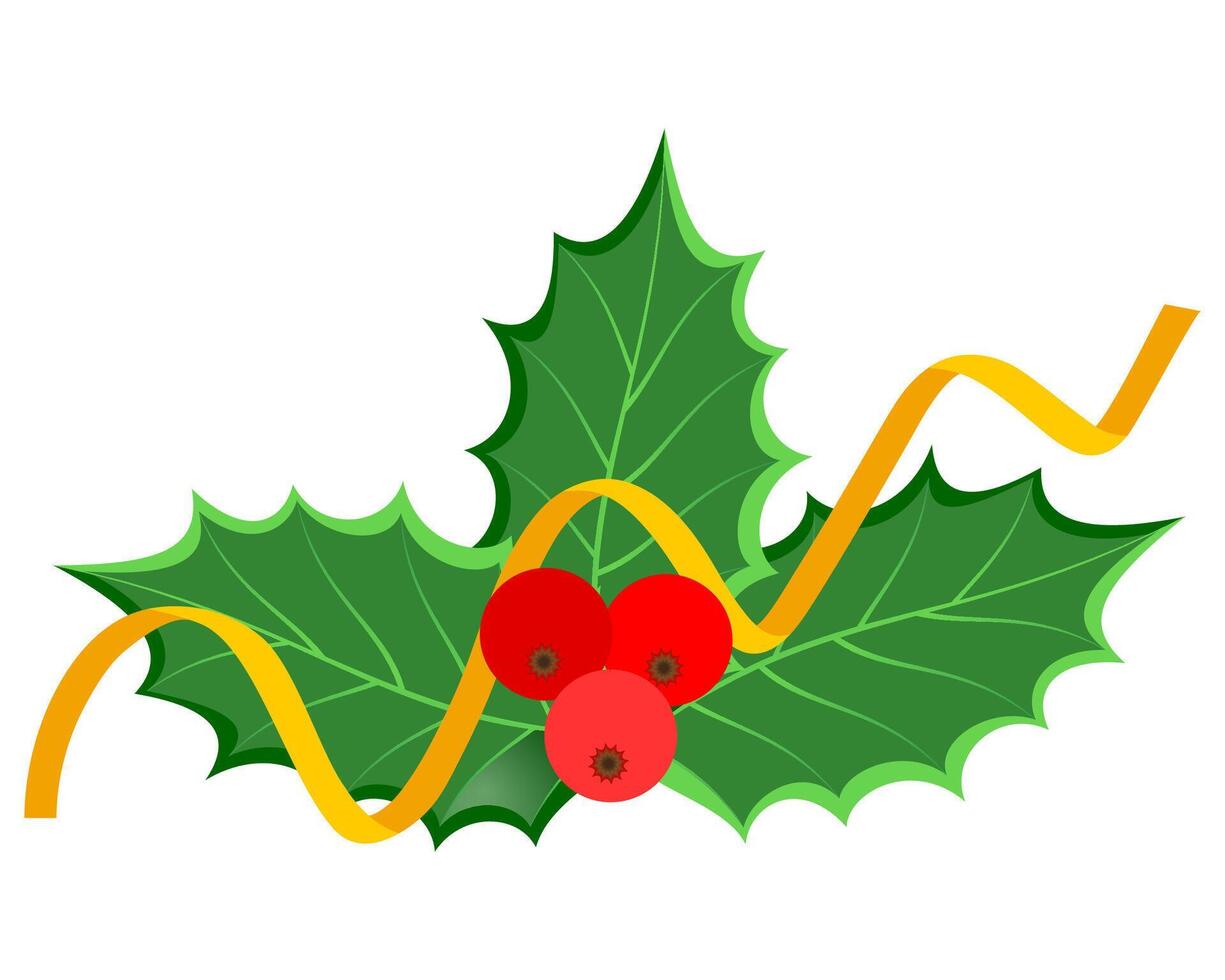 christmas holly berries stock vector illustration isolated on white background