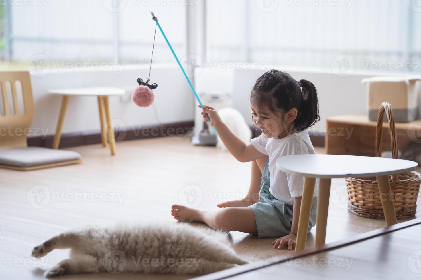 Asian baby child girl playing with persian cat lying on the floor at home, mixed breed cat is a cross between breeds or a purebred cat and a domestic cat. Animal cats concept. photo