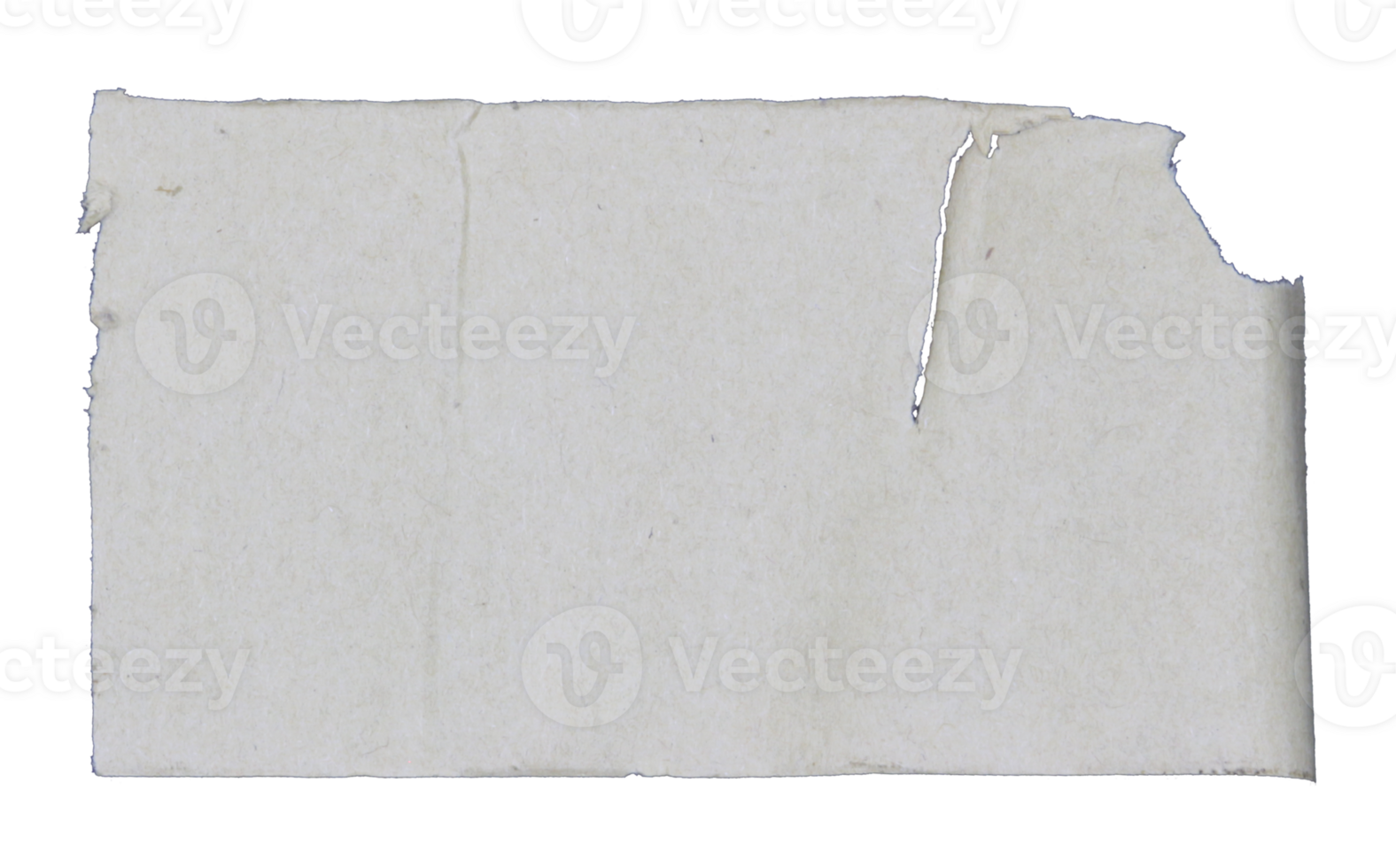 piece of white paper tear isolated on transparent background png file
