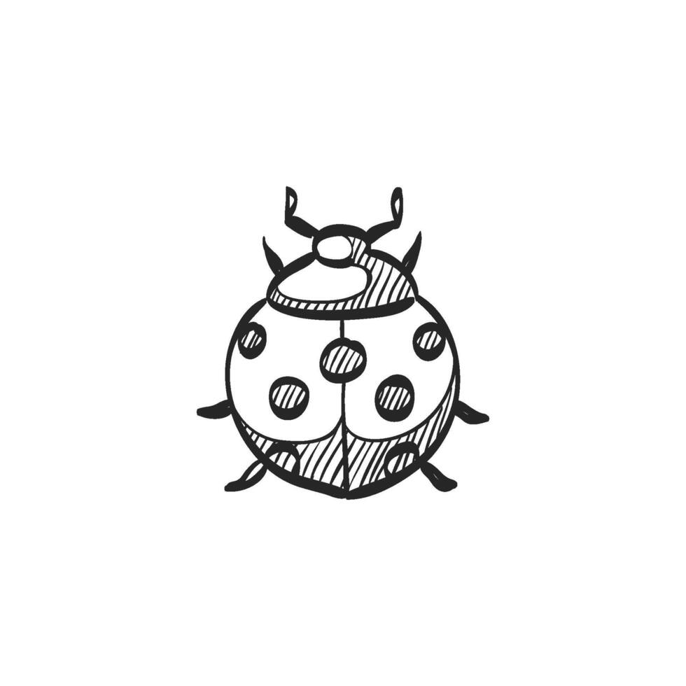 Hand drawn sketch icon bug vector