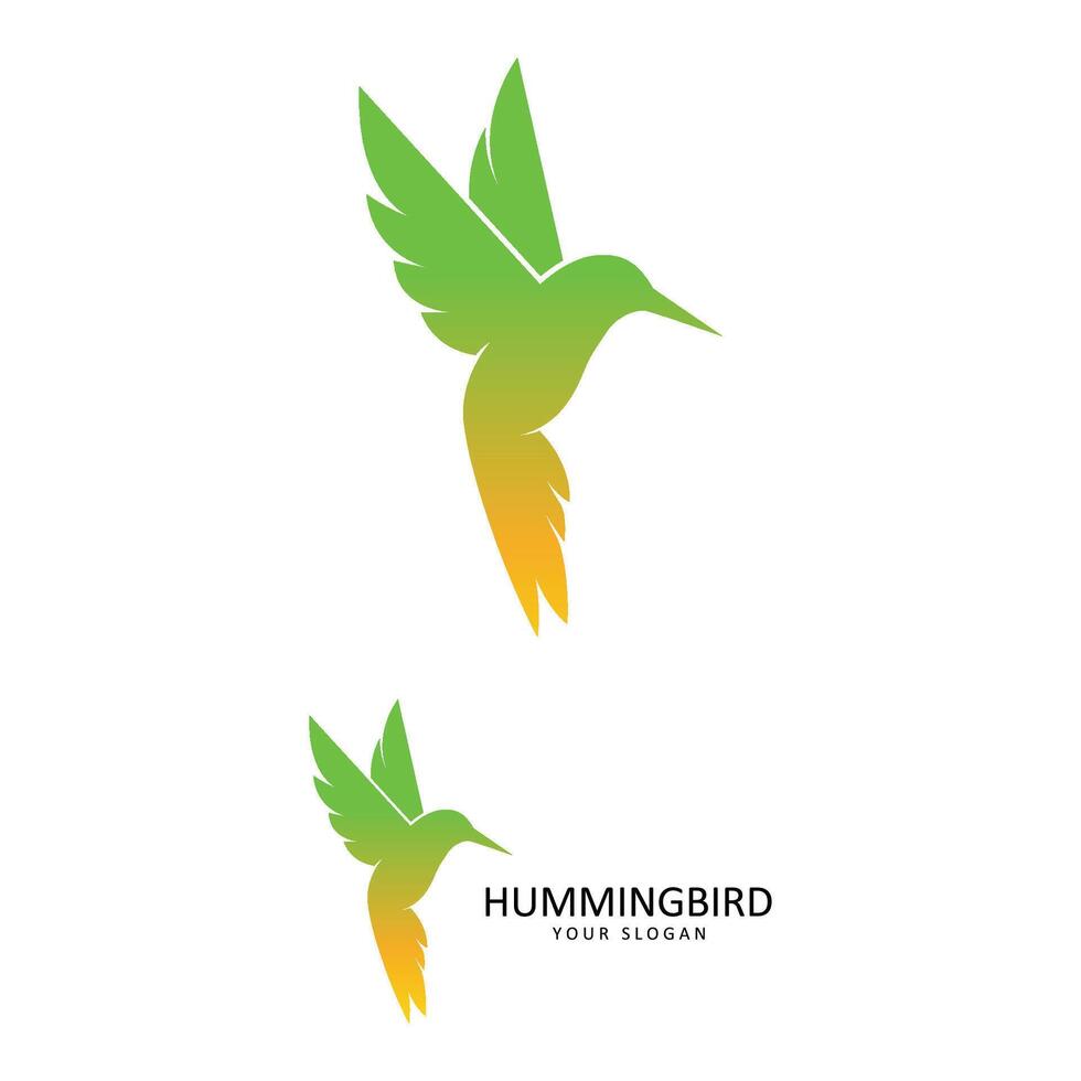 Beautiful Simple Bird Colibri Logo Design Vector