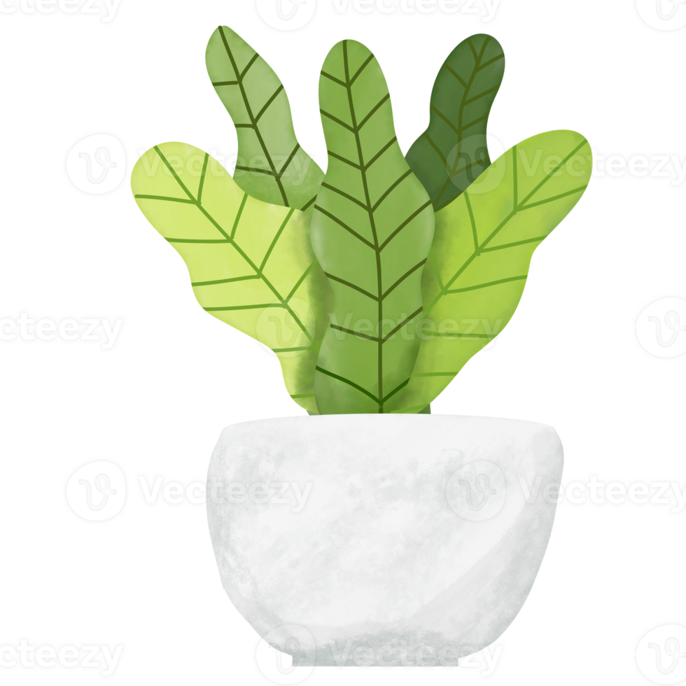 Houseplant in a pot, watercolor png