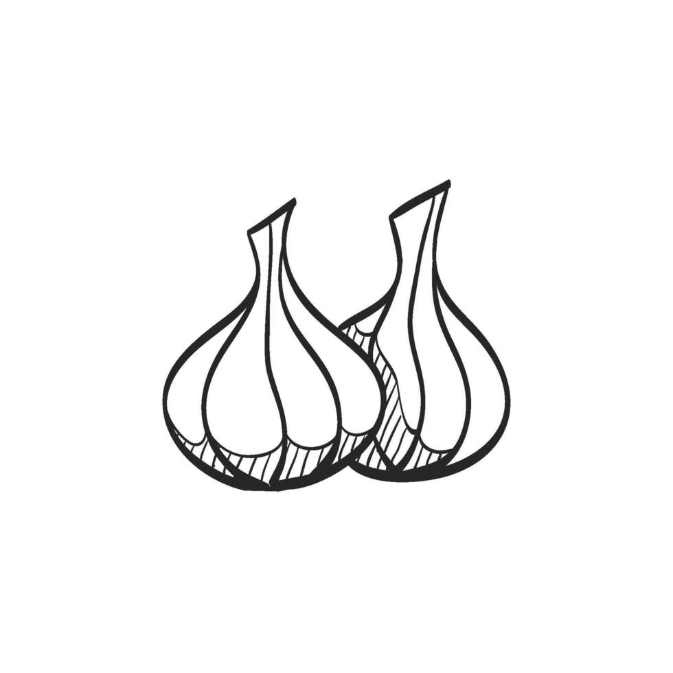 Hand drawn sketch icon garlic vector
