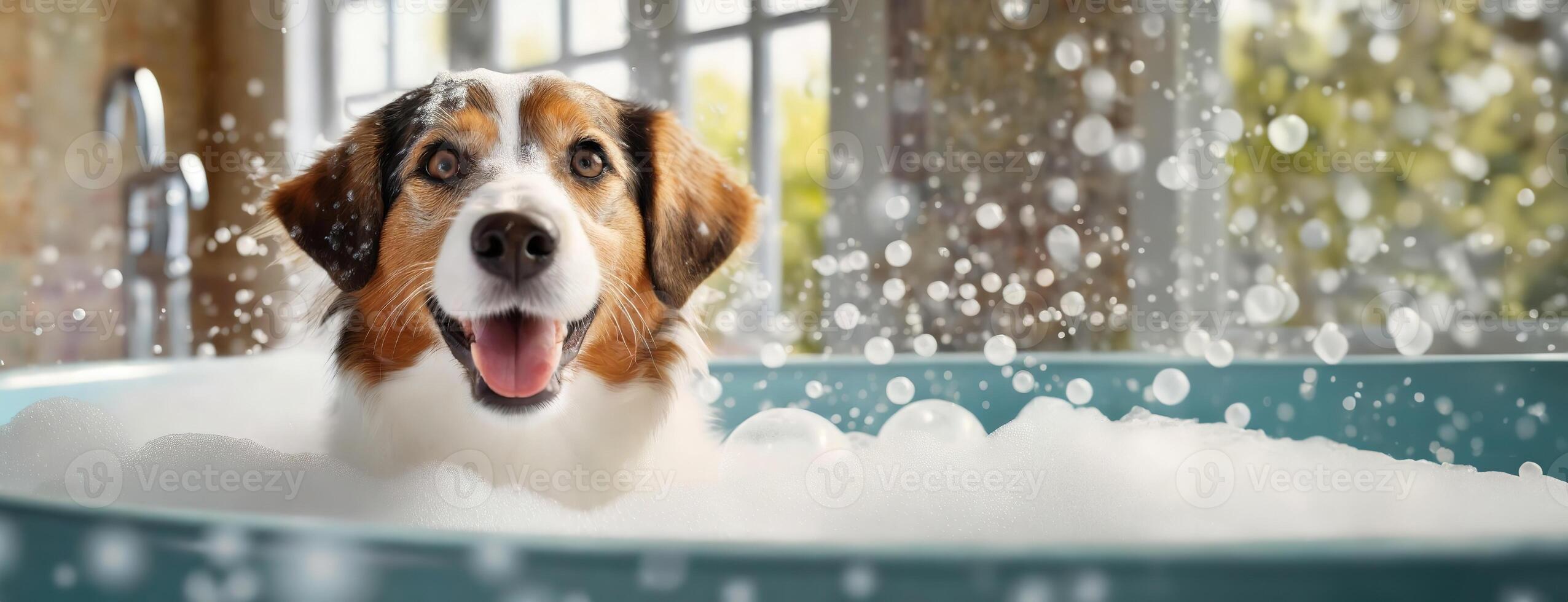 ai generado un alegre perro salpicaduras alrededor en un jabonoso bañera adentro. un exuberante cachorro es atrapado medio batido, agua gotas volador, en un lleno de jabón bañera. adoptar un abrigo mascota día. panorama con Copiar foto