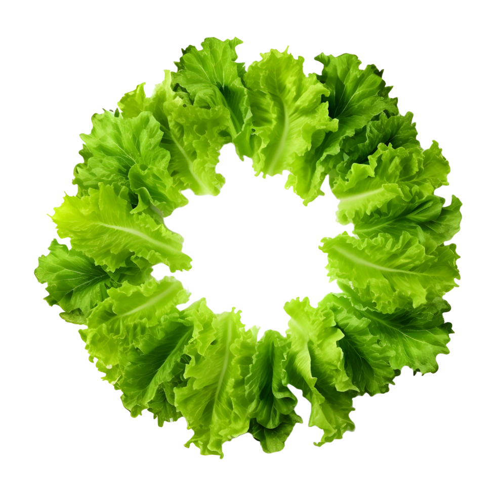 AI generated Round Green Leaf Vegetables on Transparent background - Ai Generated png