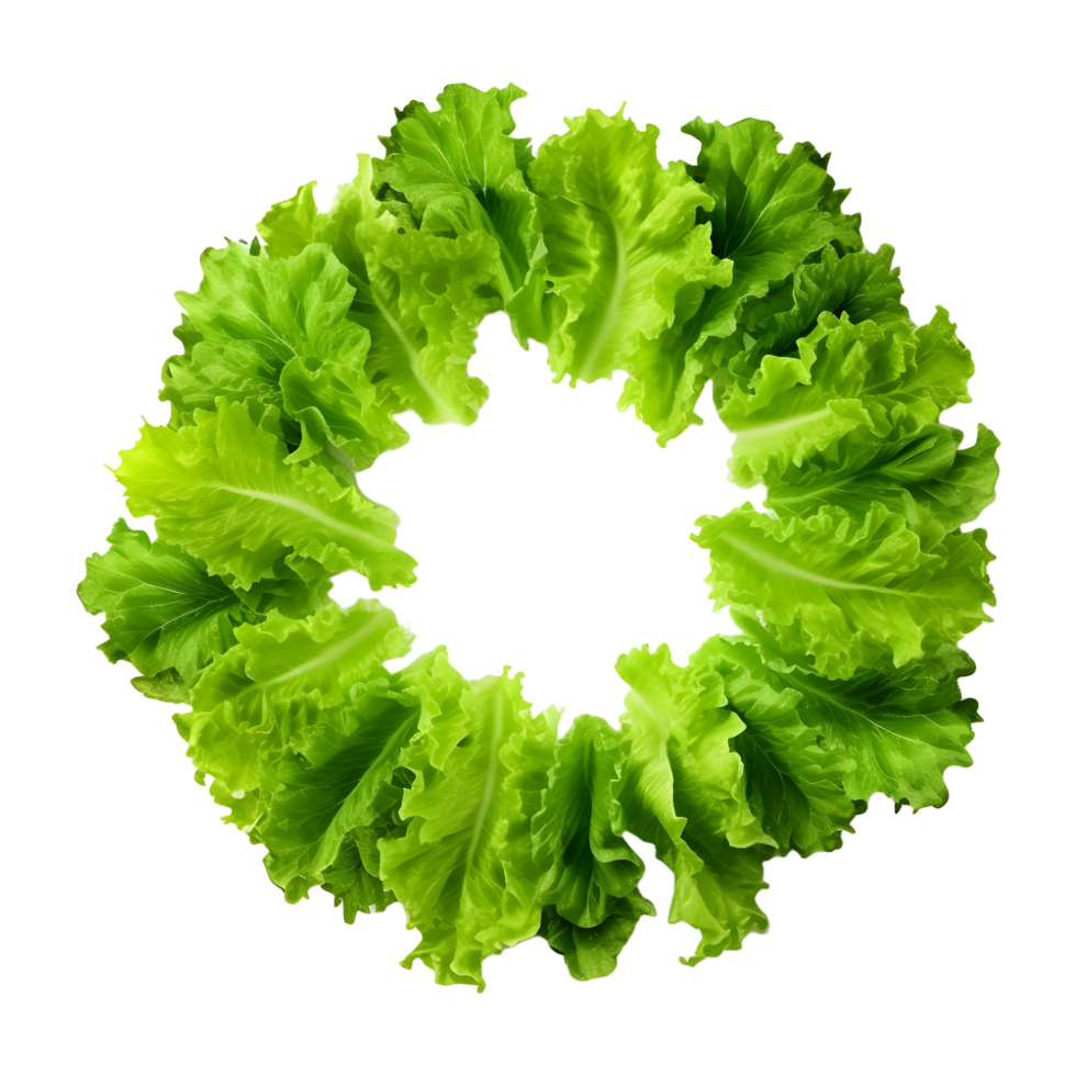 AI generated Round Green Leaf Vegetables on Transparent background - Ai Generated png