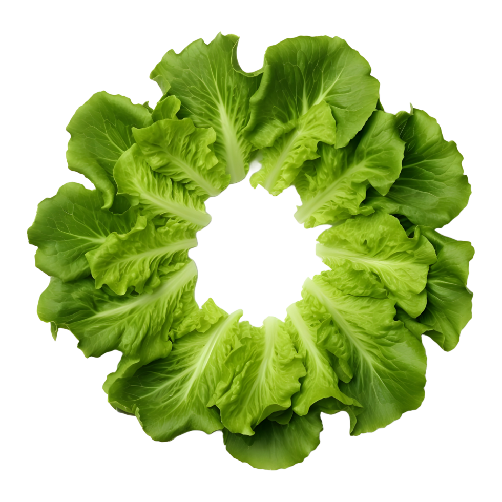 AI generated Round Green Leaf Vegetables on Transparent background - Ai Generated png