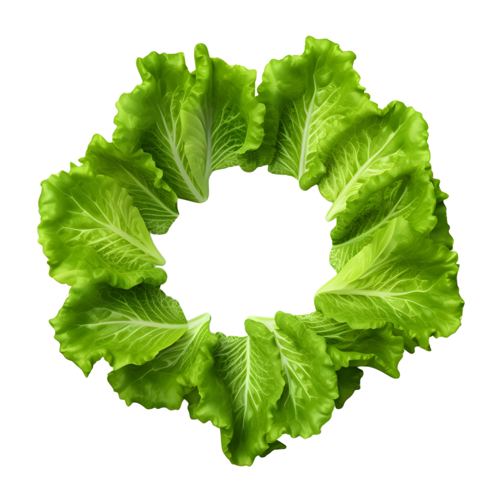 AI generated Round Green Leaf Vegetables on Transparent background - Ai Generated png